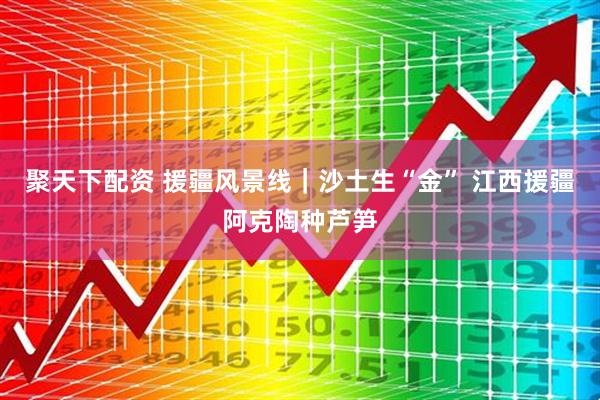 聚天下配资 援疆风景线｜沙土生“金” 江西援疆阿克陶种芦笋