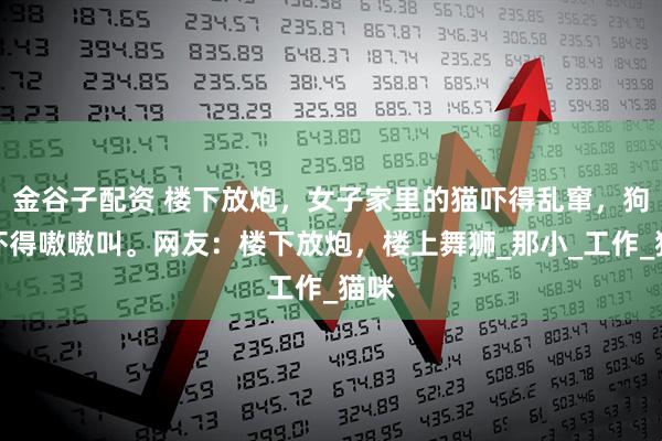 金谷子配资 楼下放炮，女子家里的猫吓得乱窜，狗子吓得嗷嗷叫。网友：楼下放炮，楼上舞狮_那小_工作_猫咪
