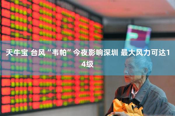 天牛宝 台风“韦帕”今夜影响深圳 最大风力可达14级
