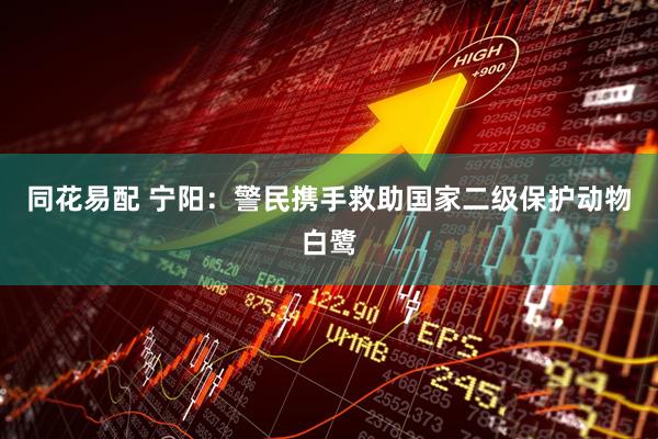 同花易配 宁阳：警民携手救助国家二级保护动物白鹭