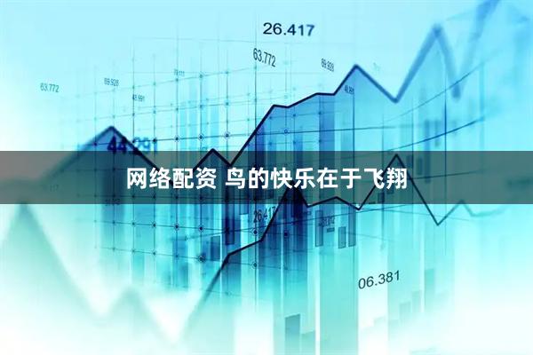 网络配资 鸟的快乐在于飞翔