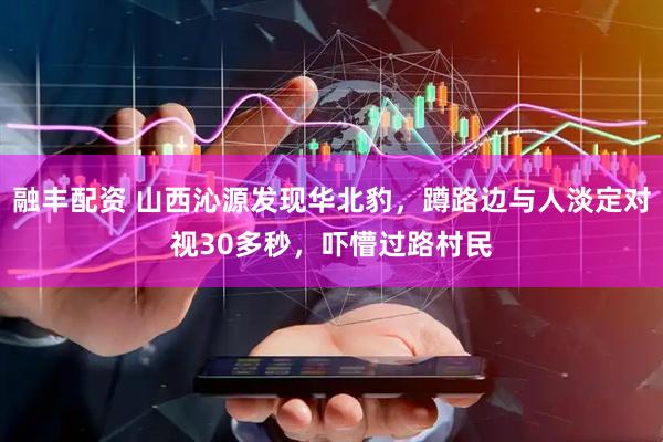 融丰配资 山西沁源发现华北豹，蹲路边与人淡定对视30多秒，吓懵过路村民