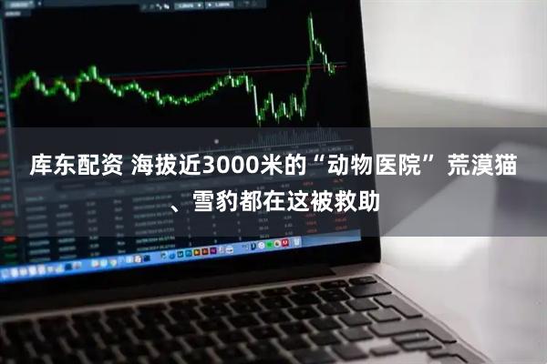 库东配资 海拔近3000米的“动物医院” 荒漠猫、雪豹都在这被救助