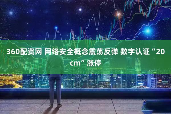 360配资网 网络安全概念震荡反弹 数字认证“20cm”涨停
