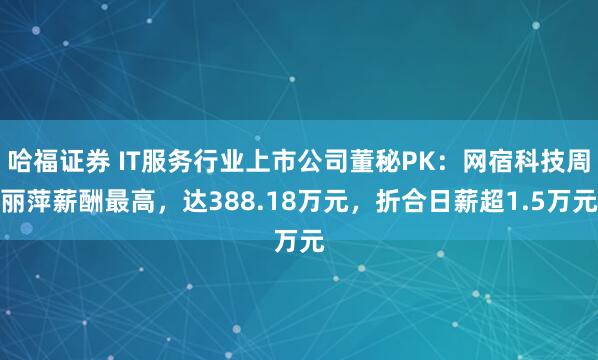 哈福证券 IT服务行业上市公司董秘PK：网宿科技周丽萍薪酬最高，达388.18万元，折合日薪超1.5万元