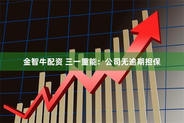 金智牛配资 三一重能：公司无逾期担保